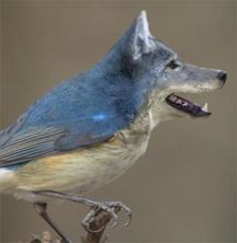 bichos01.jpg